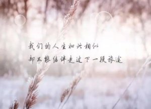 ​一个人撑得很累的说说（一个人撑得很累的朋友圈说说）