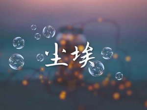 ​我的爱像尘埃散落在边疆地带是什么歌，尘埃歌曲介绍
