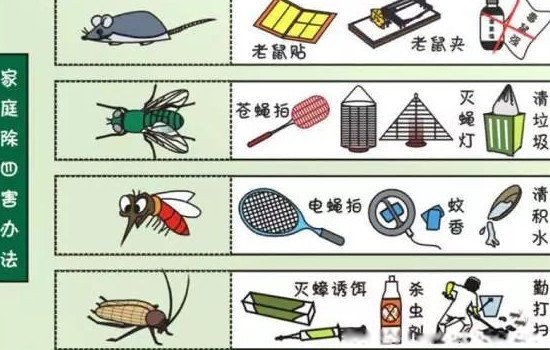 四害是指哪4种 现在和六十年代的四害指的是哪四种动物