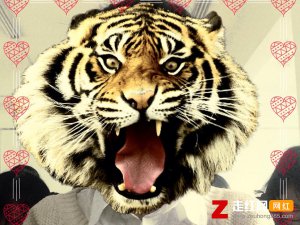 ​小和尚下山去化斋老和尚有交代是什么歌，女人是老虎歌曲介绍