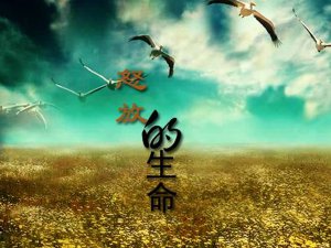 ​我想要怒放的生命是什么歌，怒放的生命歌曲介绍