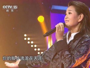 ​你的脚步流浪在天涯是什么歌，走天涯歌曲介绍