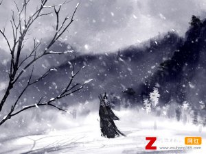 ​每当雪花纷纷飘落是什么歌，殇雪歌曲介绍