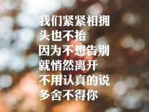 ​我和你本应该各自好各自坏是什么歌，出现又离开歌曲介绍