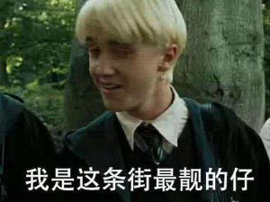 ​我就是这条街这条街最靓的仔是什么歌，这条街最靓的仔歌曲介绍
