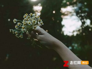 ​人生的路有多么漫长一路上收获欢乐悲伤是什么歌，风雨人生路歌曲介绍