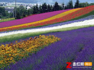 ​送你三月的风六月的雨九月的风景是什么歌，四季予你歌曲介绍
