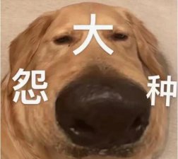​大冤种什么意思网络用语(大冤种是指冤大头) 1、大冤种就是说明一些人做了傻事
