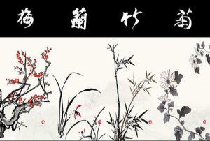 ​梅花的象征意义是什么（梅兰竹菊的象征意义）