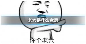 ​服了你个老六是什么梗，服了你个老六由来