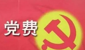 ​党费一般人一年交多少，党员一年党费多少钱