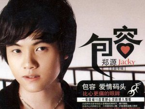 ​想你爱你留不住你是什么歌，包容歌曲介绍