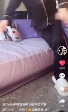 ​钟丽缇与张伦硕同框互动，紧贴老公开怀大笑，力破离婚传闻