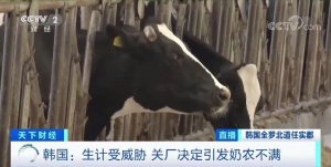 ​这一 40 多年老牌乳企宣布：彻底关门停业！