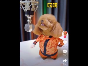 哎呀刺挠啊什么歌，说不上哪闹心扒拉歌曲介绍
