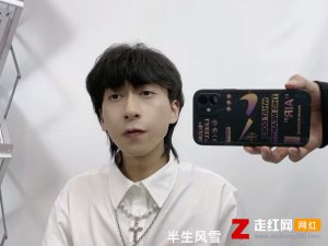 半生风雪吹不散花落时节的眼泪是什么歌，半生雪歌曲介绍