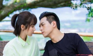 ​亲爱的热爱的番外结局 原著小说番外揭秘乃是有情人终成眷属