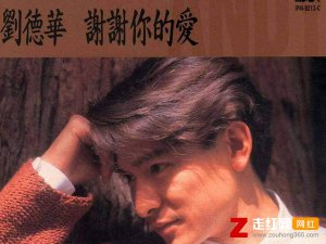 ​不喜欢孤独却又害怕两个人相处是什么歌，谢谢你的爱歌曲介绍