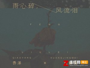 ​雨心碎风流泪花花世界无人陪是什么歌，雨心碎风流泪歌曲介绍