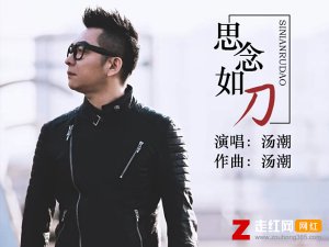 ​你在南方我在北方是什么歌，思念如刀歌曲介绍