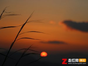 ​落日与晚风深情地相拥是什么歌，落日与晚风歌曲介绍