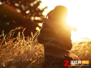 ​怪我当初对爱太多期盼是什么歌，爱难求情难断歌曲介绍