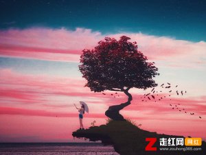 ​我忘掉你的所有风里雨里一直大步往前走是什么歌，哪里都是你歌曲介绍