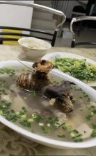 ​湖南一父亲给女儿做饭偶然发现……家人：吃饭像开盲盒