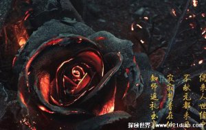 ​鬼节禁忌30条，民间传说做了这些事会倒大霉(熬夜居然也在其中)