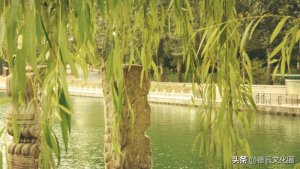 ​探清水河歌词（张云雷探清水河全本歌词）