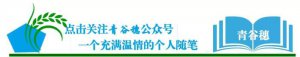 ​累了的时候只有灵魂在守候是什么歌（累了的时候只有灵魂在守候）