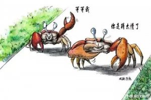 ​螃蟹女是什么意思,形容外表凶狠内心善良的女生(田园女代表女权)