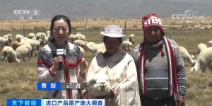 ​销售额暴增近 20 倍！这种小玩偶卖爆了！“萌”生大商机