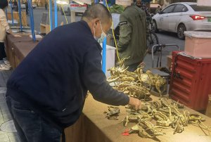 ​这个摊位占“ C 位”！看到他的手，网友绷不住了 ...