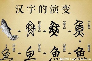 ​汉字演变过程时间排序正确的是什么，最早是甲骨文最后是行书