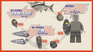 ​感染寄生虫后，身体会发生什么变化？
