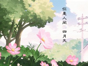 ​愿你在我看不到的地方安然无恙是什么歌，你是人间四月天歌曲介绍