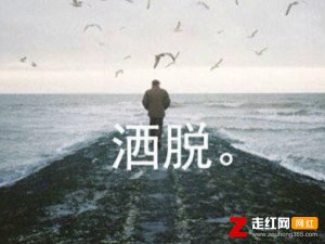 ​走走停停半生已过是什么歌，洒脱歌曲介绍