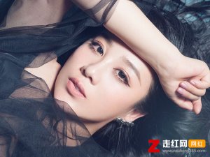 ​你说做你的情人就该有付出是什么歌，流泪的情人歌曲介绍