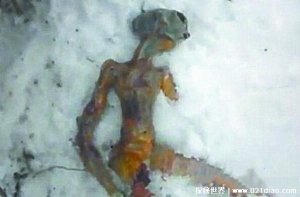 ​7个外星人真实图片曝光，真假有待进一步确定