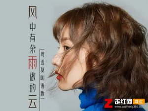 ​梦中飘落雨湿了身是什么歌，风中有朵雨做的云粤语莫叫语版歌曲介绍