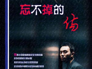 ​以后那么多的悲伤那么多的凄凉是什么歌，忘不掉的伤歌曲介绍