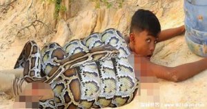 ​1999年秦岭蟒蛇渡劫事件，将少年男性作为祭品(吞噬后飞升成龙)