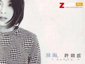 ​你怎么舍得让我的爱流向海是什么歌，泪海歌曲介绍