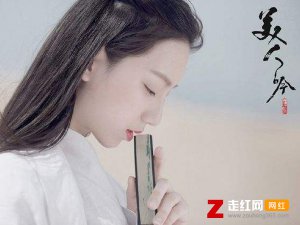 ​红红的美人脸淡淡柳眉愁是什么歌，美人吟歌曲介绍