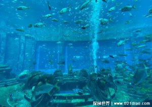 ​海底世界真的要苏醒了吗，已找到存在证据(亚特兰蒂斯真实照片)