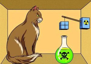 ​薛定谔的猫是什么意思为什么恐怖，指人为干预结果导致发生变化