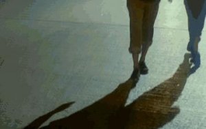 ​她回来，才想起夏天结束了