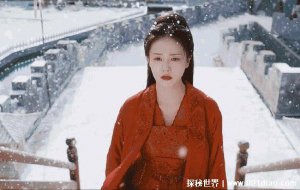 ​美人骨指的是什么，形容一个人骨像皮像都十分好(原指女人锁骨)