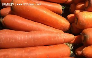 ​排名第一最强护肝食物，5种中医推荐养肝蔬果(胡萝卜排名第1)